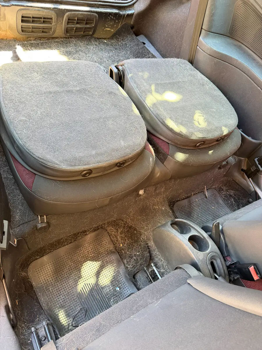 Avant — Avant-après du nettoyage de la banquette arrière d’une Citroën C2