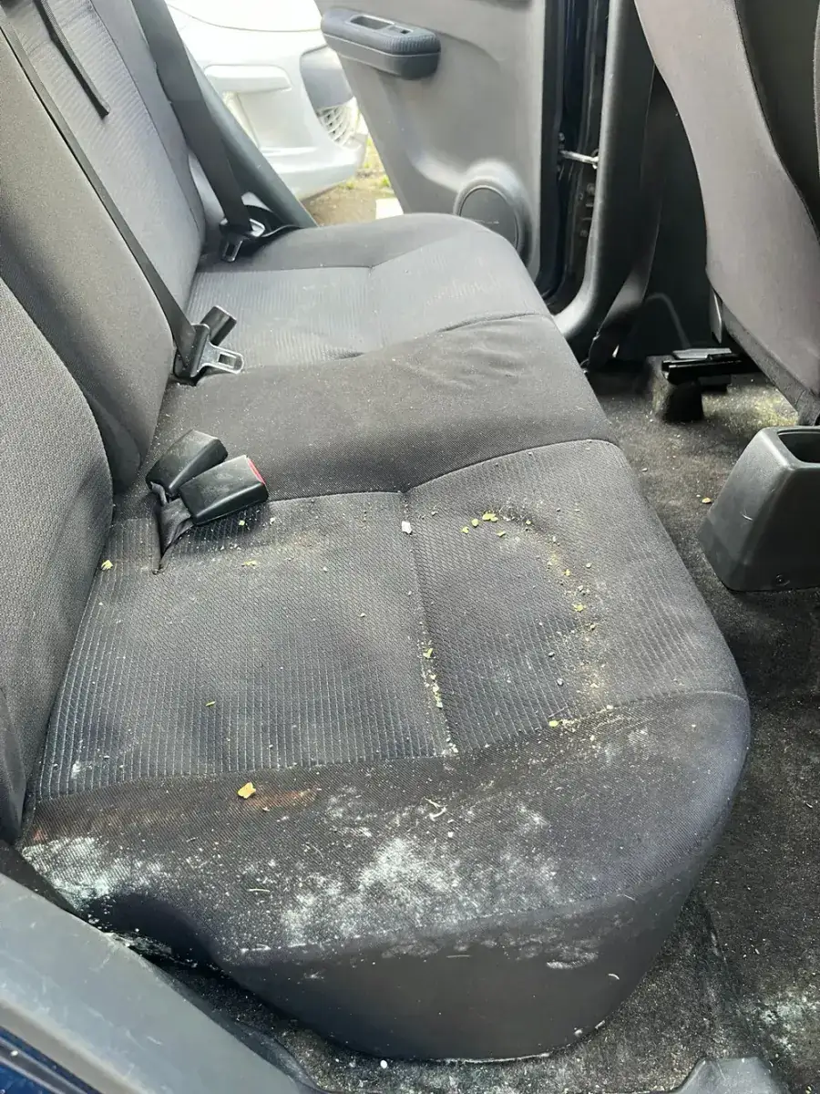 Avant — Avant-après du nettoyage d’une banquette arrière de voiture